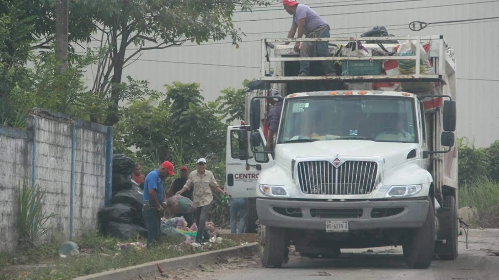 Basura18 copia